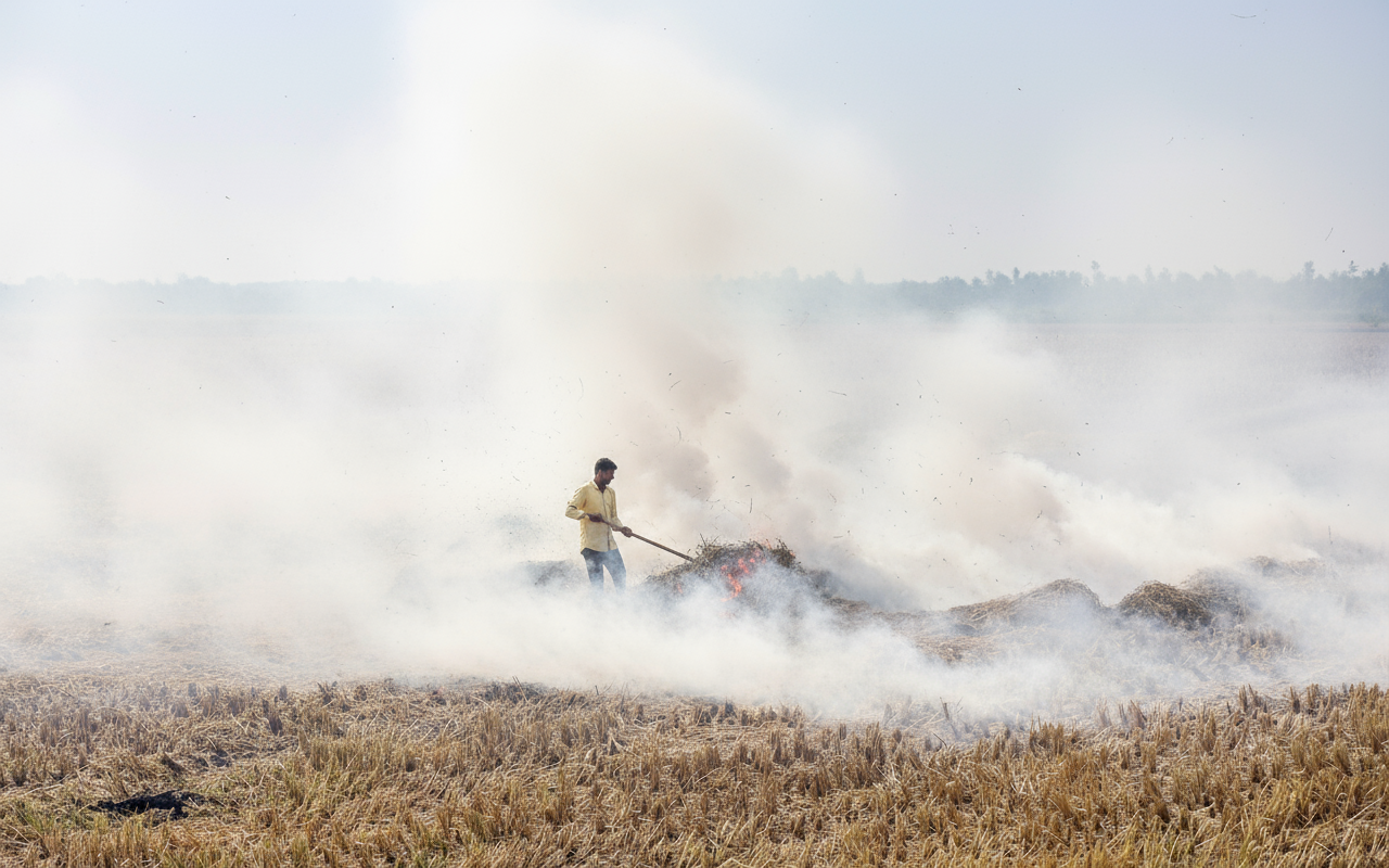 Centre Urges Northern States to Step Up Farmer Awareness on Stubble Management